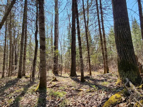 Xx Honeymoon Trl, Lutsen, MN 55612