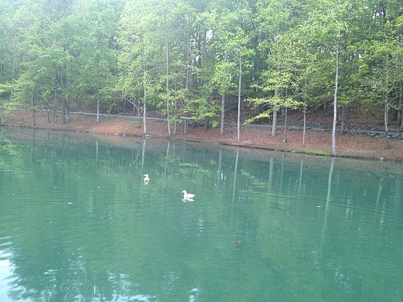 CG Hill Park Lake/Trail