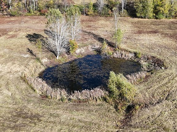 86th image of this home