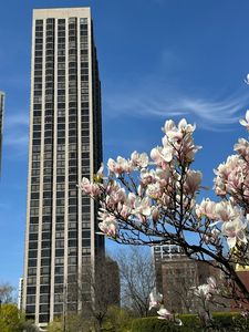 2650 N Lakeview Ave APT 3904, Chicago, IL, 60614