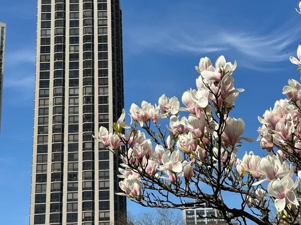 2650 N Lakeview Ave APT 3904, Chicago, IL 60614