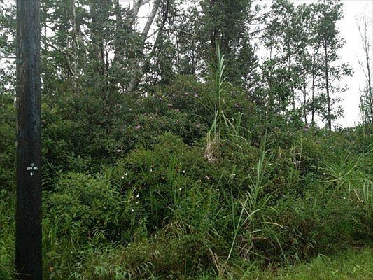 1st image of Silversword Dr Lot 61