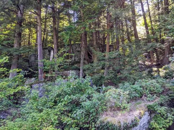 00 Briggs Hill Road, Bristol, VT 05443