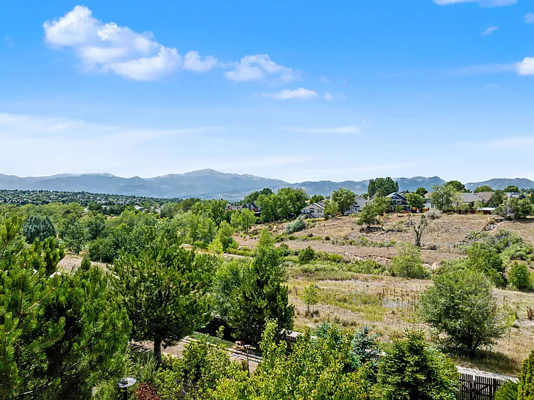 4617 Bridle Pass Dr — Photo 24