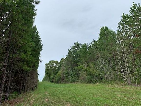 3rd image of 1575 Purvis To Baxterville Rd