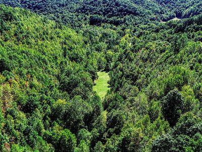 1259 Shepherd Fork Rd #C, West Portsmouth, OH, 45663