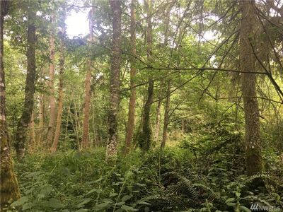 0 Thompson Rd, Langley, WA, 98260