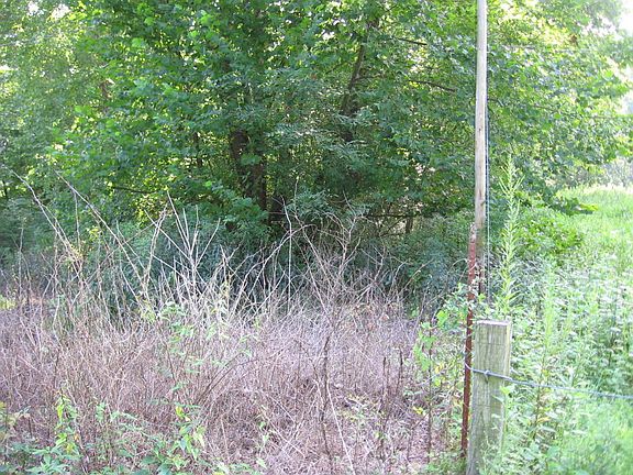 5th image of Henson Ln