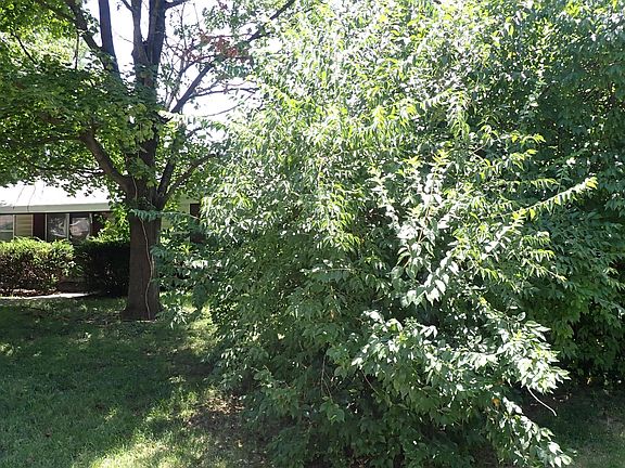 2nd image of 501 Dartmouth Dr