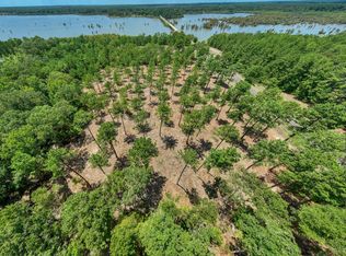 8 Fm 83 LOT 8, Broaddus, TX 75929