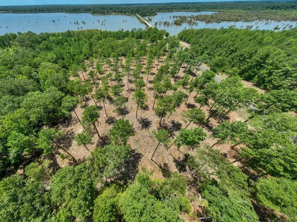 13 Fm 83 Lot 13, Broaddus, TX 75929