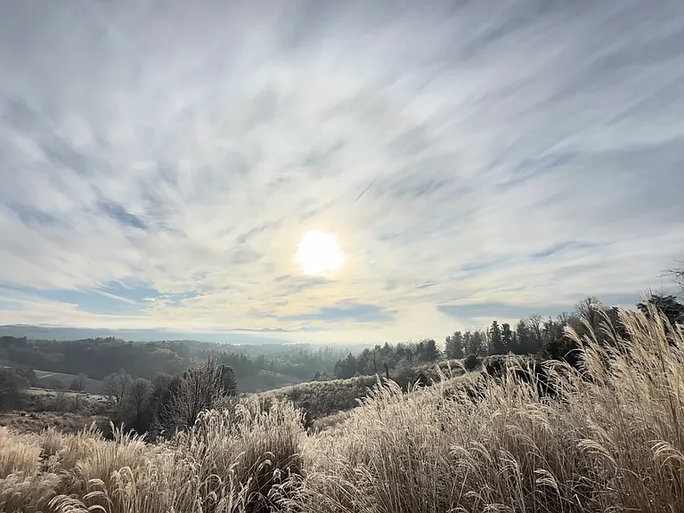 Winter sunrise view right before turning into the neighborhood.