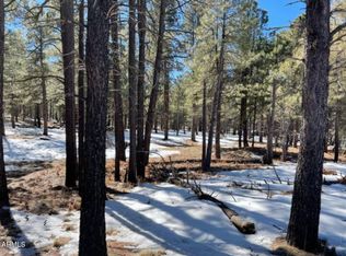 2692 STATE ROUTE 260 Route #895, Forest Lakes, AZ 85931