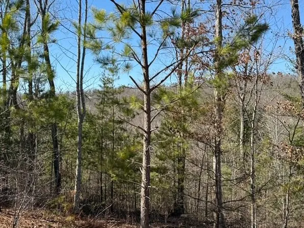 11 Long View Ln, Blue Ridge, GA 30513