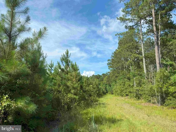 Black Creek Rd, Franklin, VA 23851