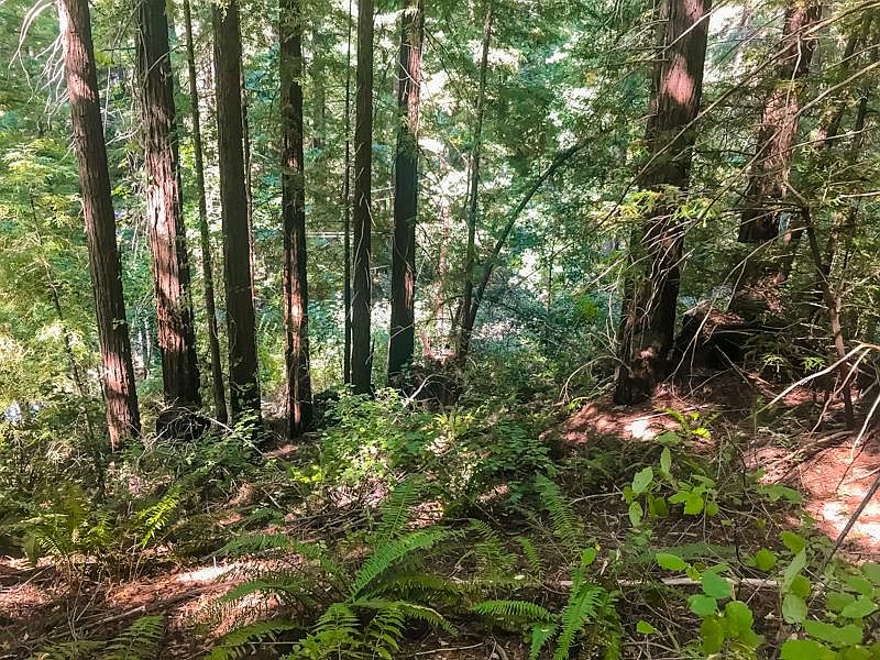 2nd image of Logan Creek Rd Lot 40