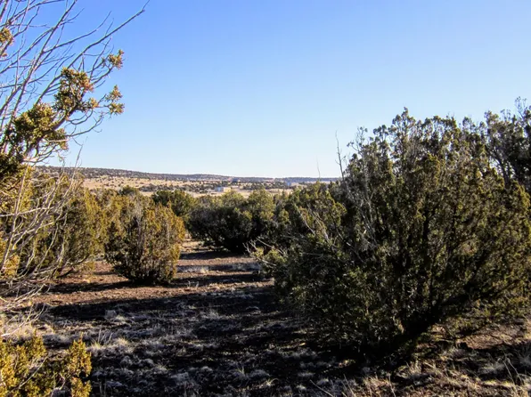 0 Mesa Redondo Ranch Rd #8500, Concho, AZ 85924