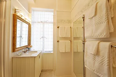 Sold by Carol E Levy