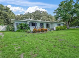 1415 Raintree Ln, Mount Dora, FL 32757