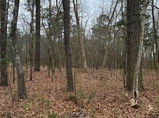 LOT 1 Blackwater Rd, Frankford, DE 19945