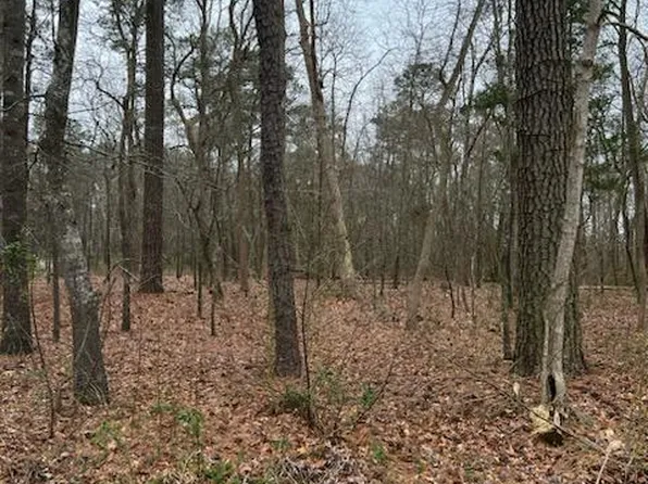 LOT 1 Blackwater Rd, Frankford, DE 19945