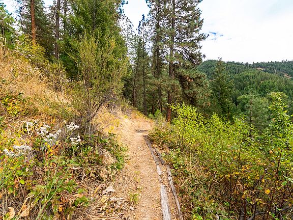 DSC_0156 copy blue sky