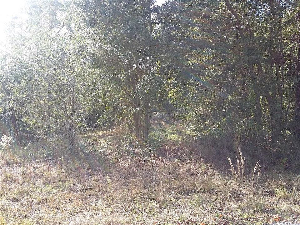 2nd image of 6856 E Blue Heron Ln