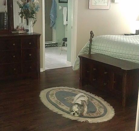 5th image of 1405 Dumont Dr