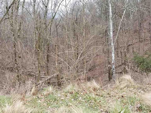 5th image of 123 Last Chance Rd #123