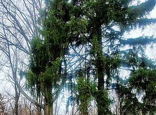 852 Montford Rd, Cleveland Heights, OH 44121