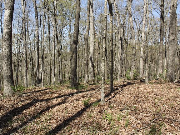 3rd image of 1180 Dry Fork Rd Lot Wp 001