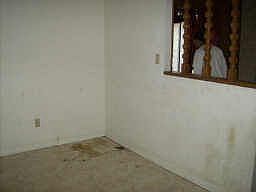 5th image of 803 Magnolia Ave