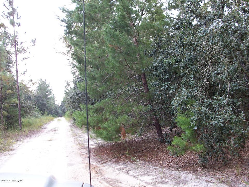 2nd image of 305 Mango Ln