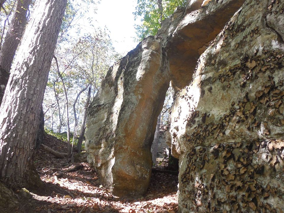 49th image of this home