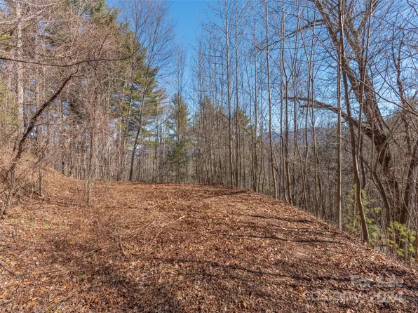 1165 Scenic Cir, Waynesville, NC 28786