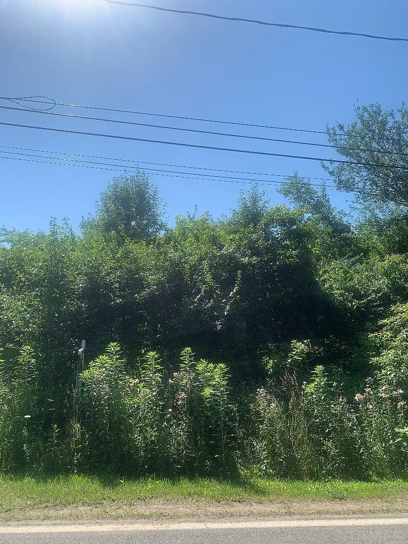 51833 Beech Rd photo 1