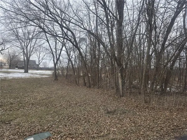 N Washington St, East Lynne, MO 64743