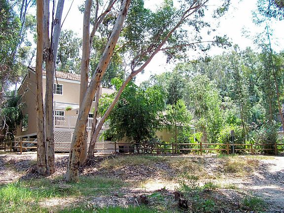View of home from the woods