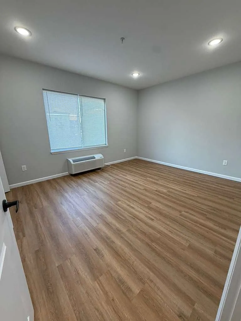 1 bed, $1,800 — Photo 4