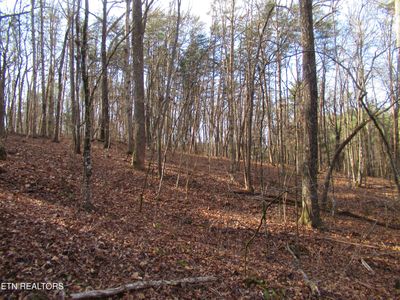 Tomotley Rd, Maryville, TN, 37801