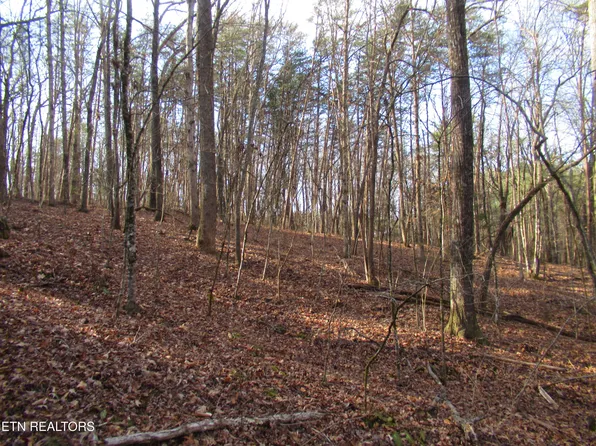 Tomotley Rd, Maryville, TN 37801