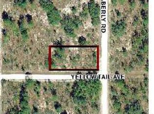 11355 Yellow Tail Ave, Weeki Wachee, FL 34614