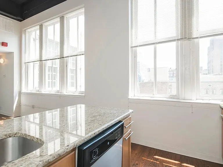 1510 Chestnut St #803 — Photo 18