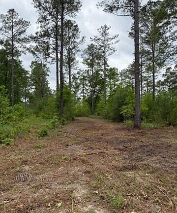 5th image of Old Barnwell Rd