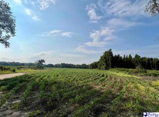 Birdsnest Rd, Hartsville, SC 29550