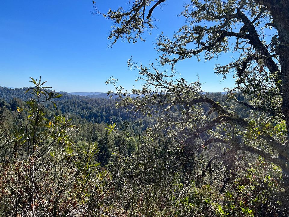 2nd image of LOT 19 Bear Creek Rd