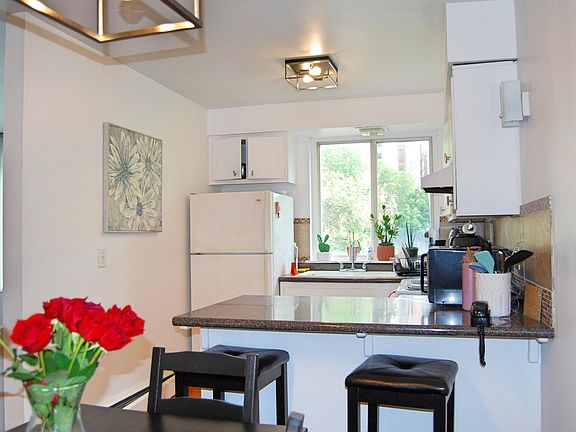 4th image of 539 W Stratford Pl APT 509