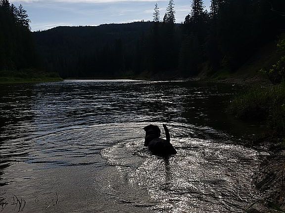 4th image of 929 Fox Creek Spur