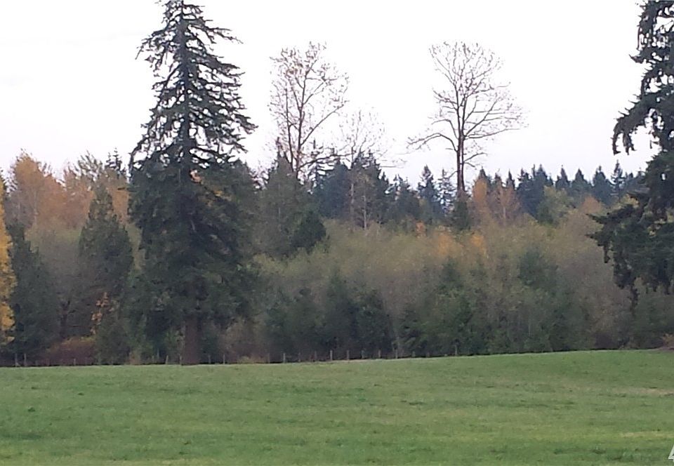 2nd image of Meridian E