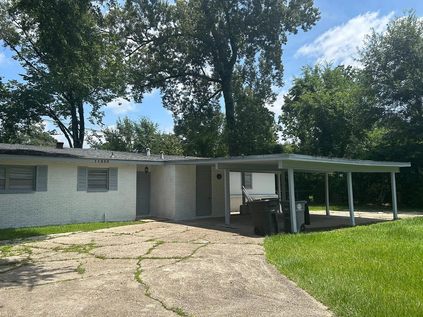 11855 Molly Lea — Photo 2